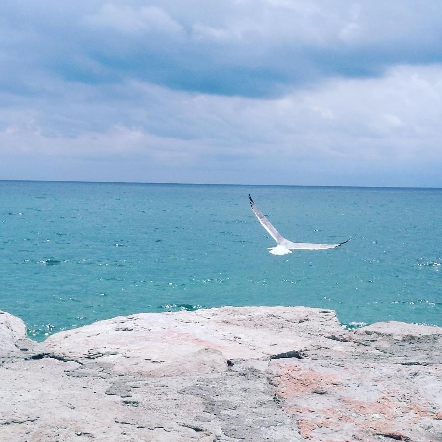 B&B Dimora Di Traiano Terracina Luaran gambar